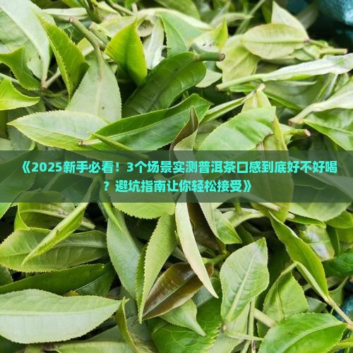 普洱茶口感易接受吗