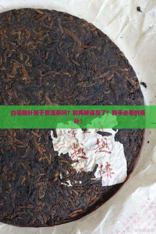 白毫银针属于普洱茶吗
