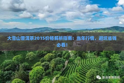 大雪山普洱茶2015价格