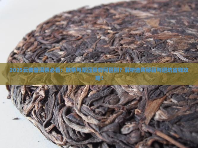 云南普洱茶有散茶吗