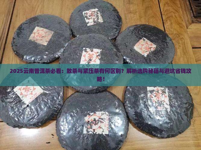 云南普洱茶有散茶吗