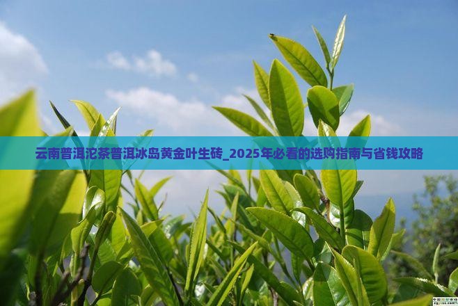 云南普洱沱茶普洱冰岛黄金叶生砖