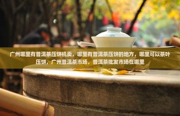 广州哪里有普洱茶压饼