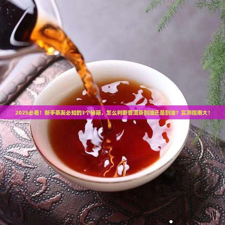 怎么判断普洱茶刮油还是刮油