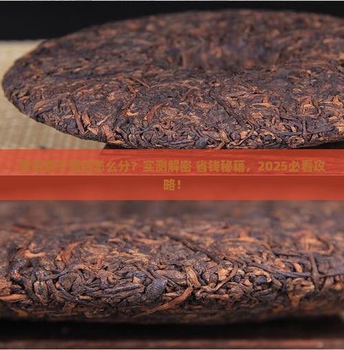 普洱茶怎么分辨干湿区