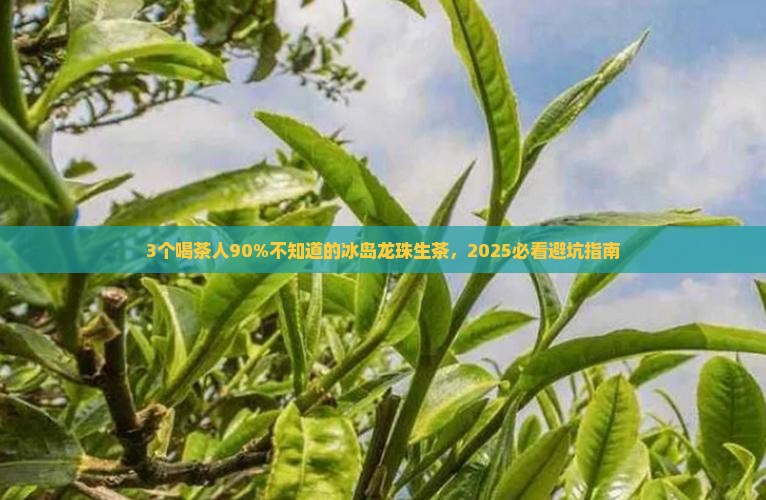 鸿运冰岛龙珠生茶