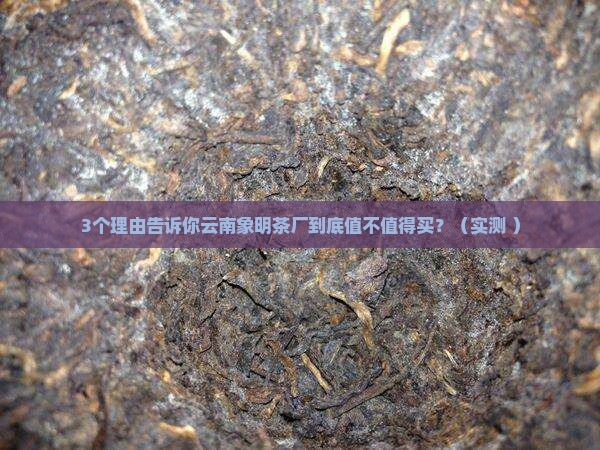 云南象明茶厂怎么样