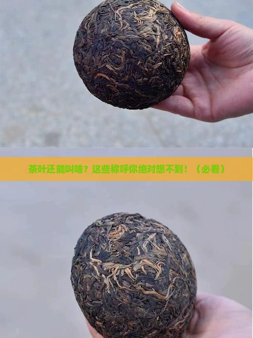 茶叶还可以怎么称呼