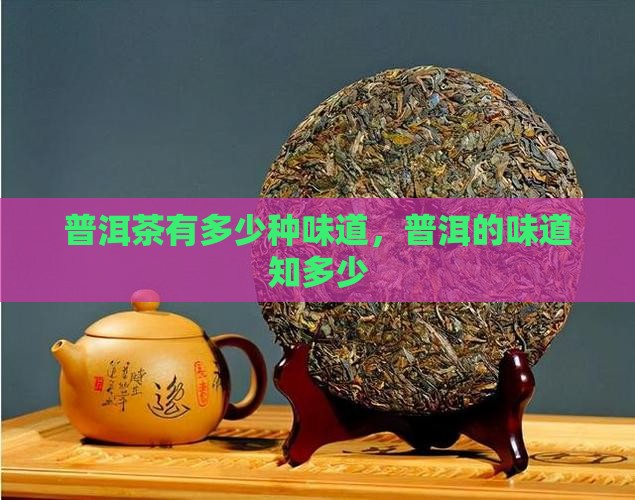 普洱茶有多少种味道 普洱茶有多少种味道