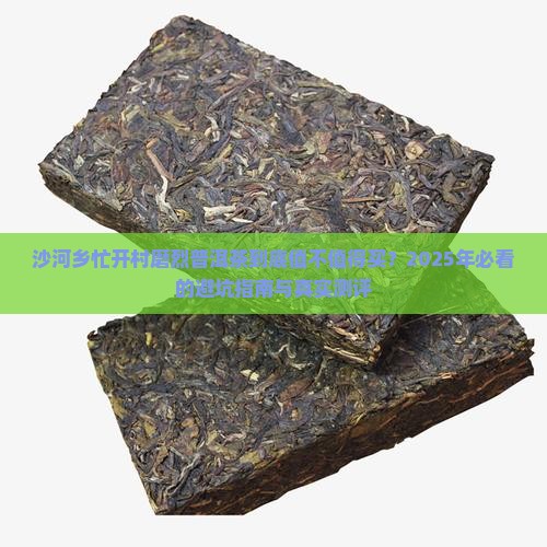 沙河乡忙开村磨烈普洱茶