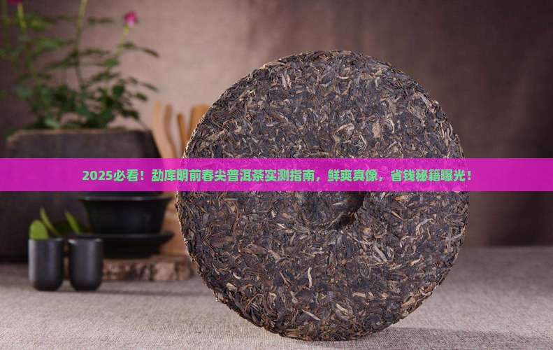 勐库明前春尖普洱茶