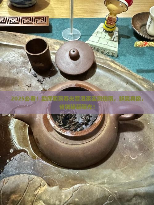 勐库明前春尖普洱茶