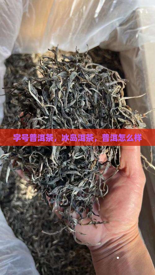 俸字号普洱茶怎么样