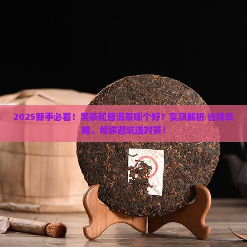 黑茶和普洱茶那个好