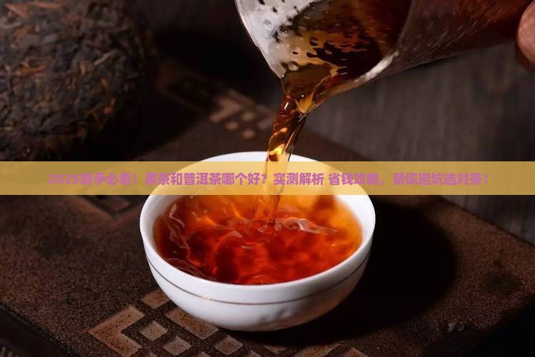 黑茶和普洱茶那个好