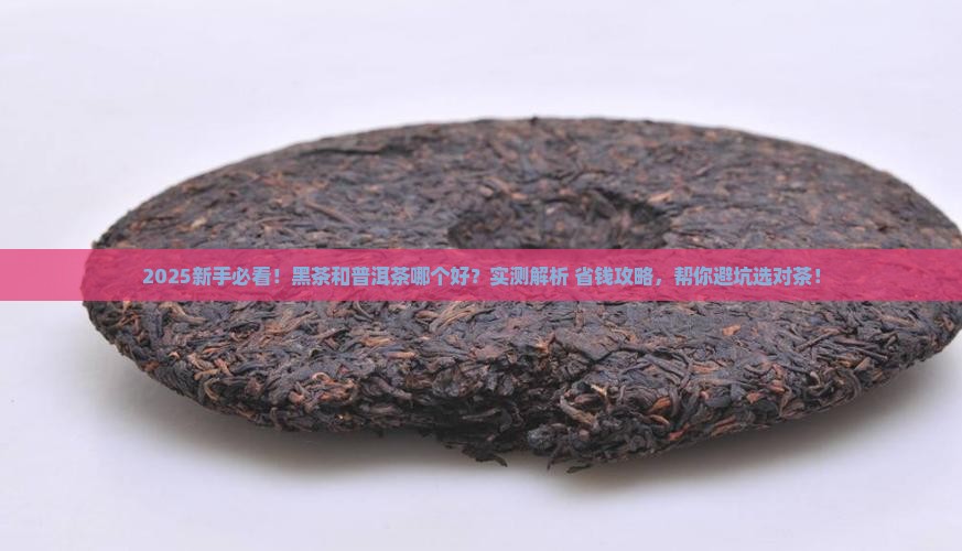 黑茶和普洱茶那个好
