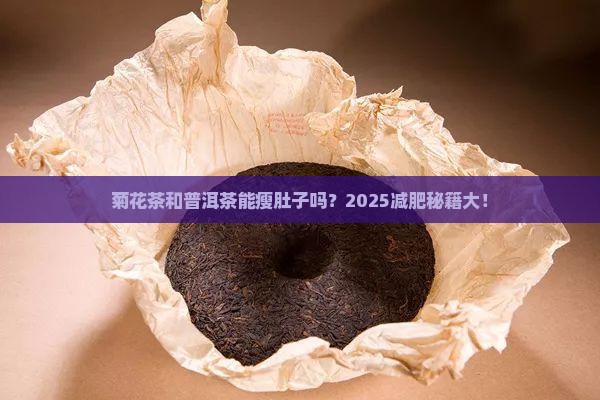 菊花茶和普洱茶能减肥吗