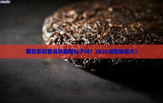 菊花茶和普洱茶能减肥吗
