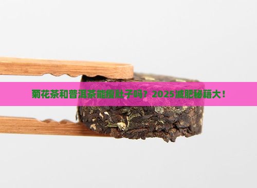 菊花茶和普洱茶能减肥吗
