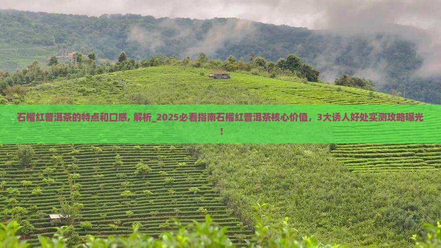 石榴红普洱茶的特点和口感