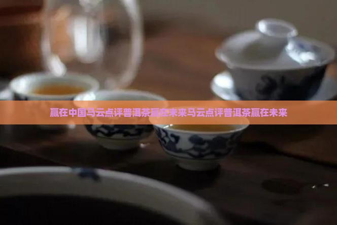 赢在中国马云点评普洱茶