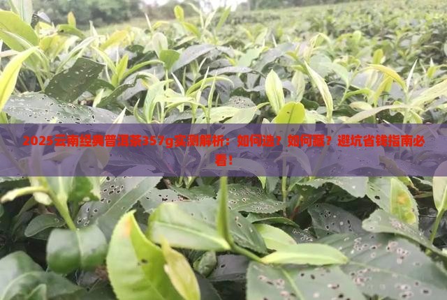 云南经典普洱茶357g