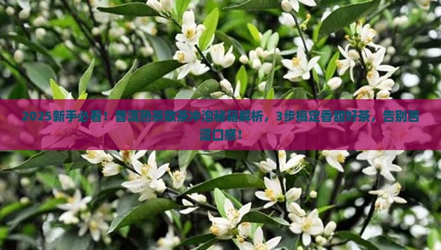 普洱茶熟茶散茶怎么冲泡