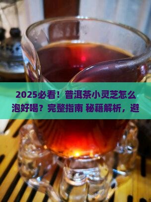 普洱茶小灵芝怎么泡好喝