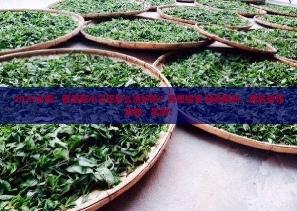 普洱茶小灵芝怎么泡好喝