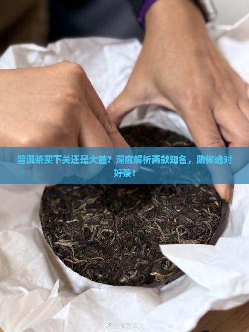 普洱茶买下关还是大益