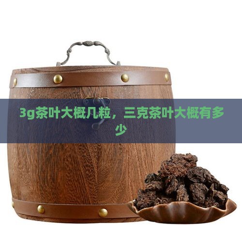 3g茶叶大概几粒