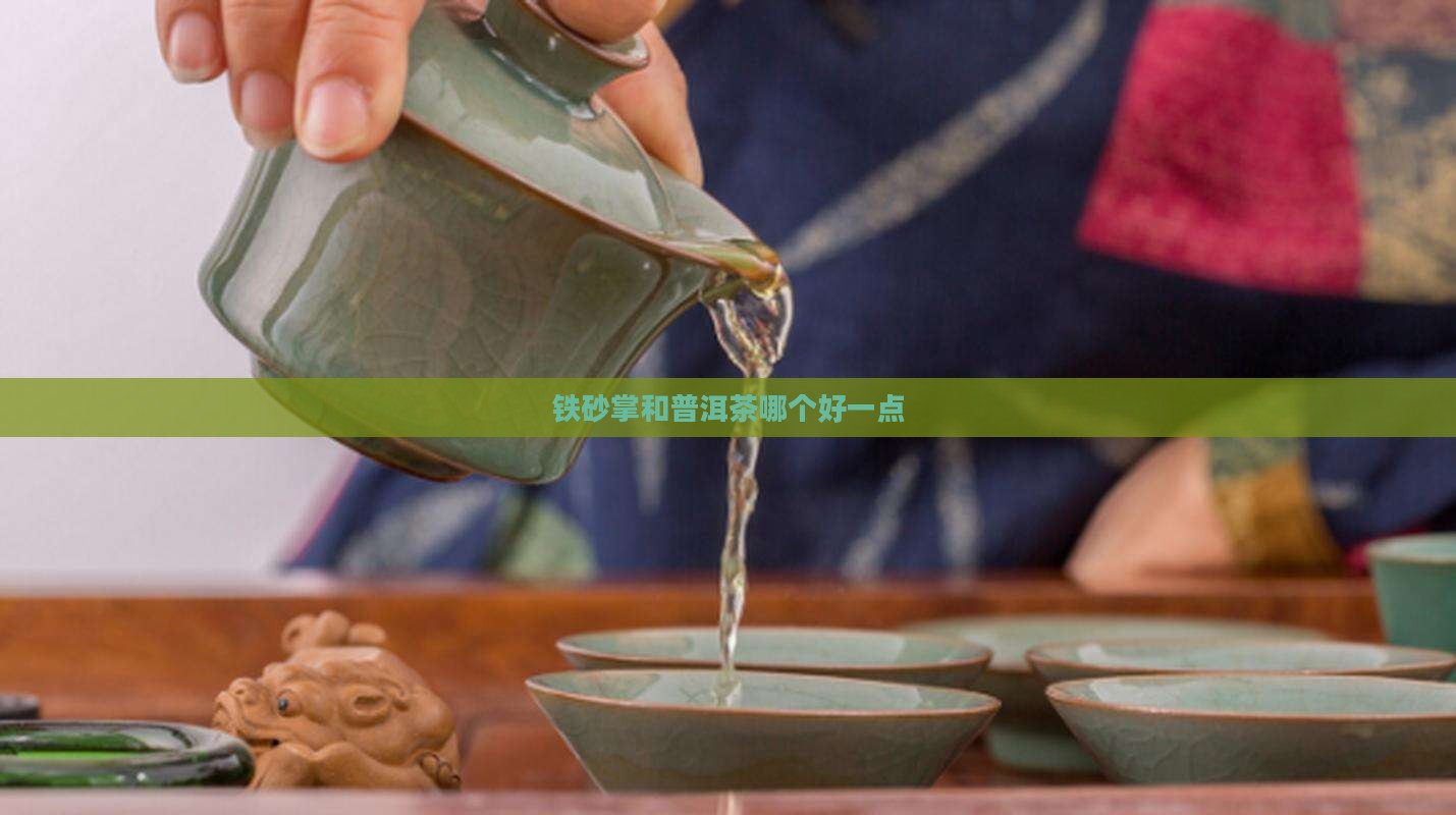 铁砂掌和普洱茶哪个好一点