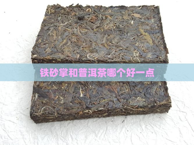 铁砂掌和普洱茶哪个好一点
