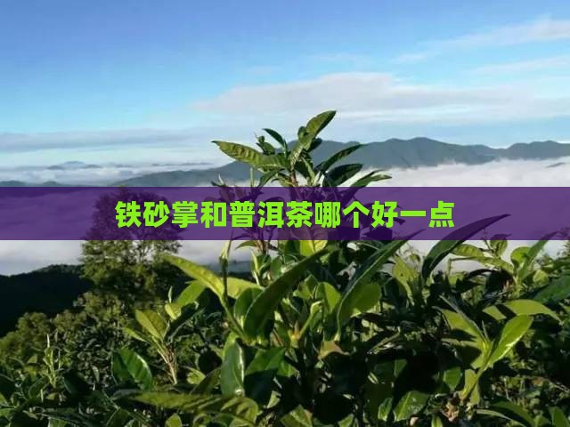 铁砂掌和普洱茶哪个好一点