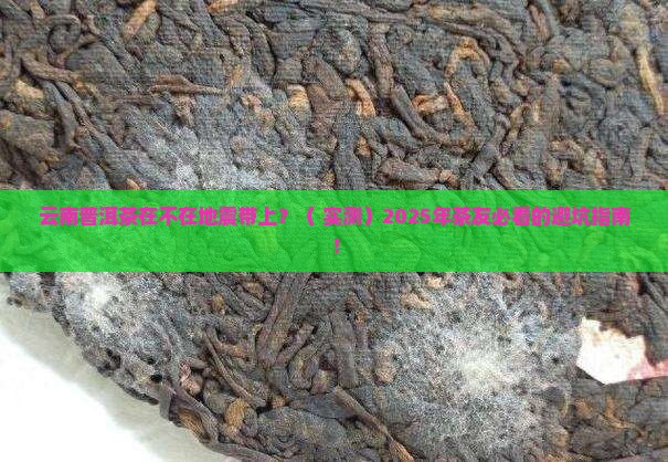 云南普洱茶在不在地震带上