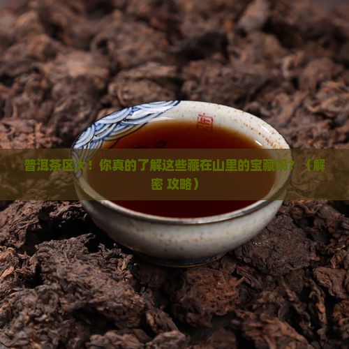 普洱有哪些茶区