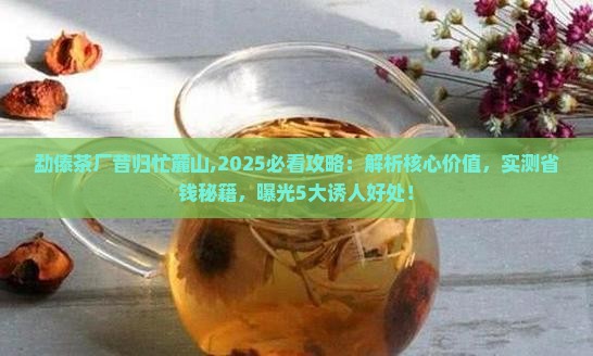 勐傣茶厂昔归忙麓山