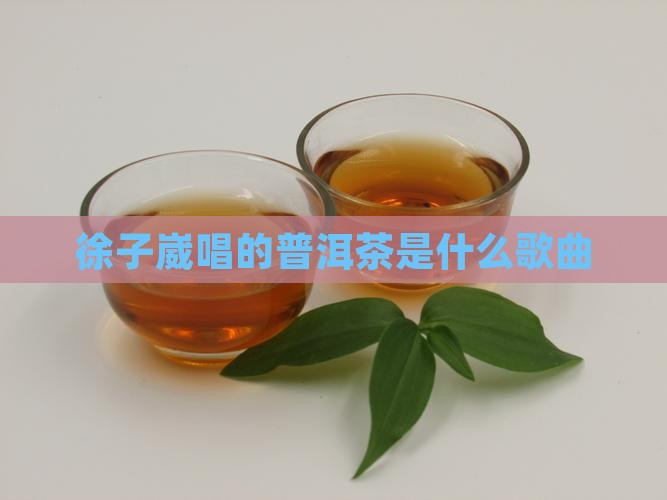 徐子崴唱的普洱茶