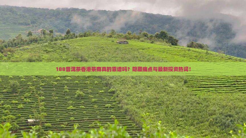 188普洱茶香港茶商