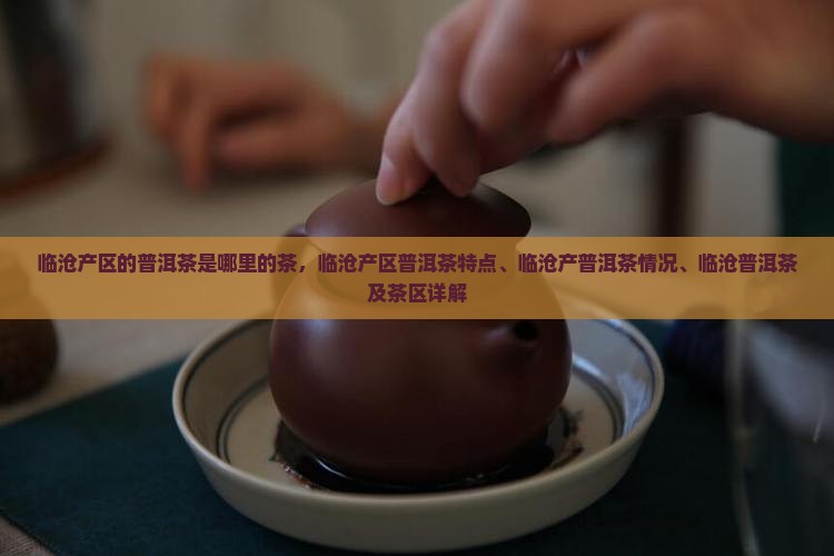 临沧产区的普洱茶是哪里的茶