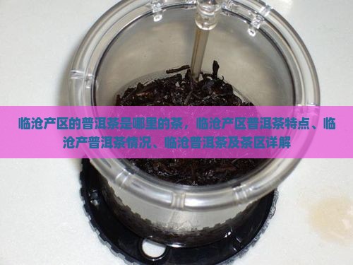 临沧产区的普洱茶是哪里的茶