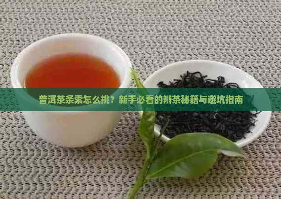 普洱茶的条索分辨