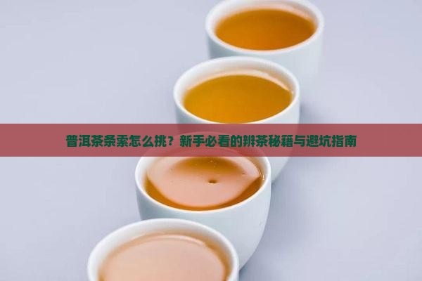 普洱茶的条索分辨