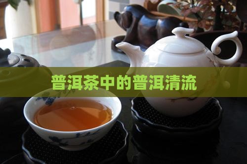 普洱茶界的一股清流
