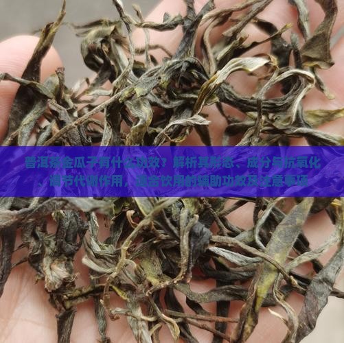 普洱茶金瓜子有什么功效