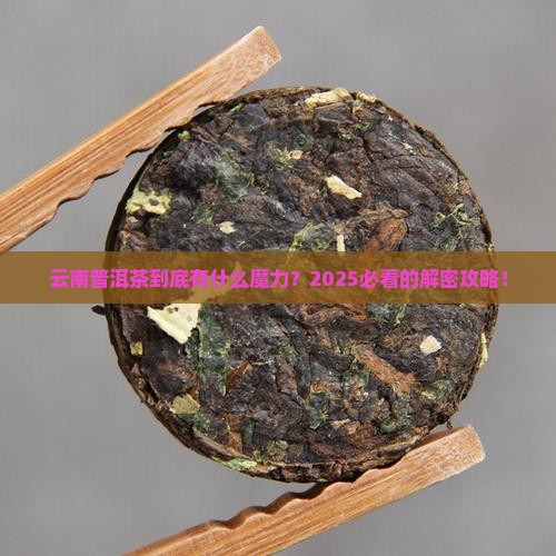 云南普洱和普洱茶