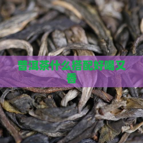 普洱茶加什么好喝又香