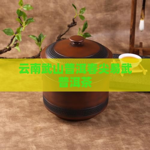 云南茶砖易武山春尖