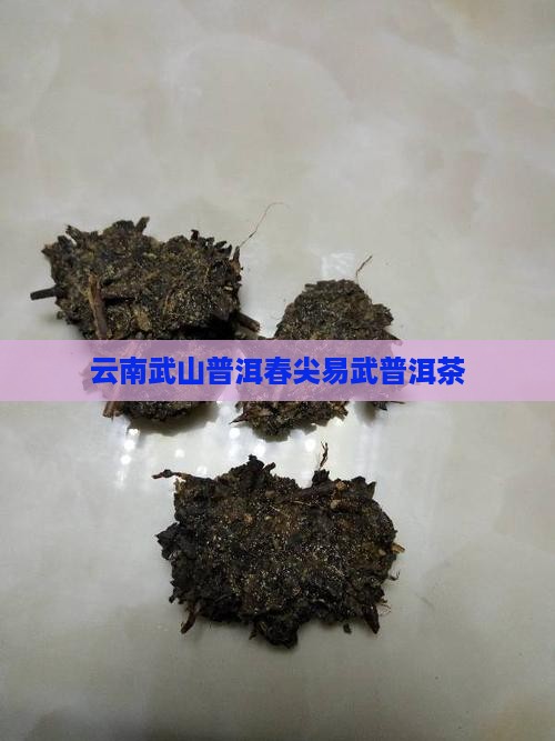云南茶砖易武山春尖