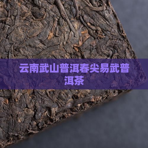 云南茶砖易武山春尖